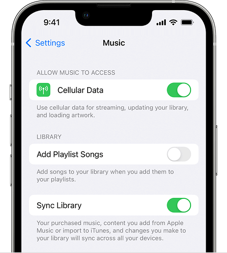 Enable the Sync Library Toggle on iPhone