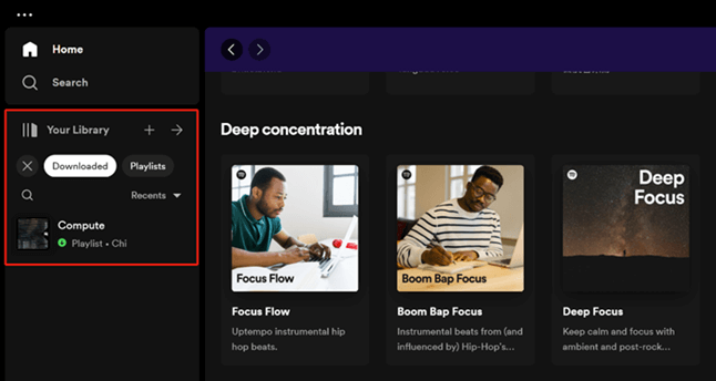 View Offline Songs on Spotify