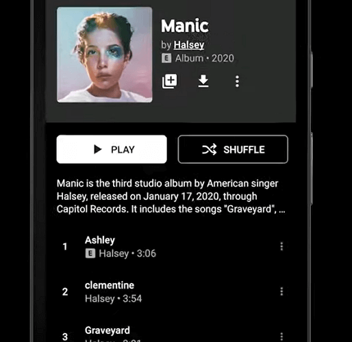 YouTube Music App Download Songs